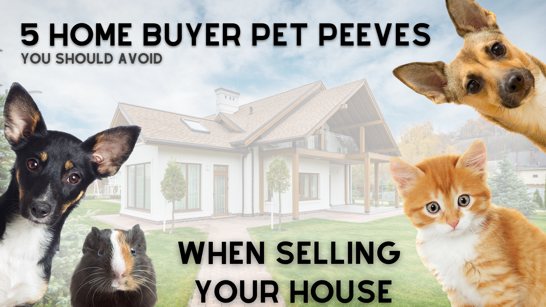 5 home buyer pet peeves